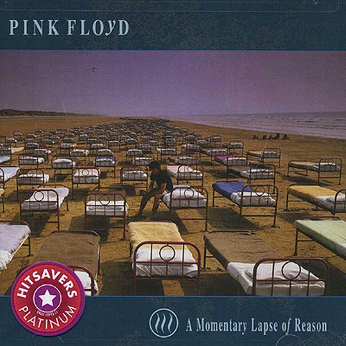 a momentary lapse of reason image