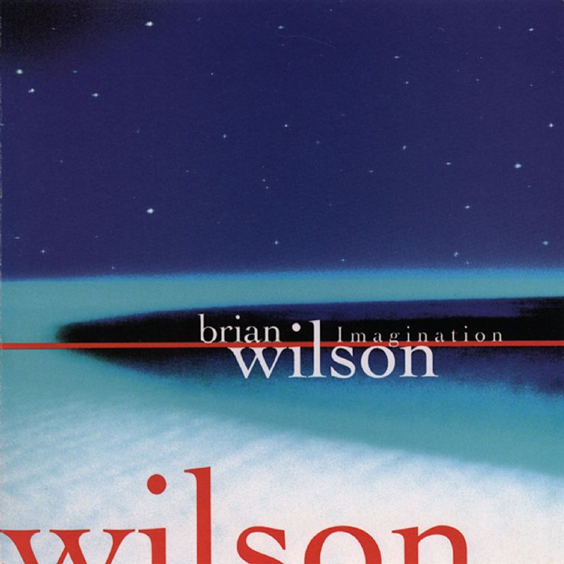 Brian Wilson - Let Him Run Wild