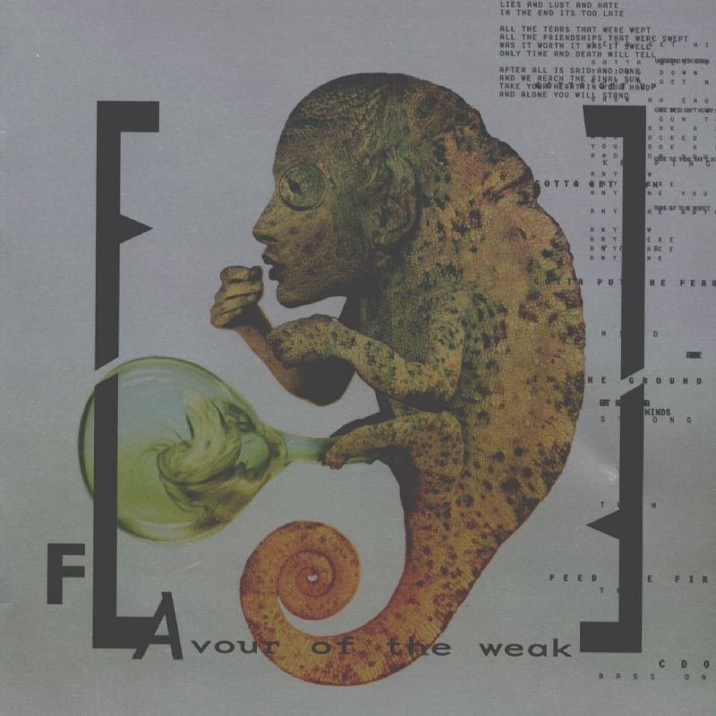 Front Line Assembly - Flavour Of The Weak