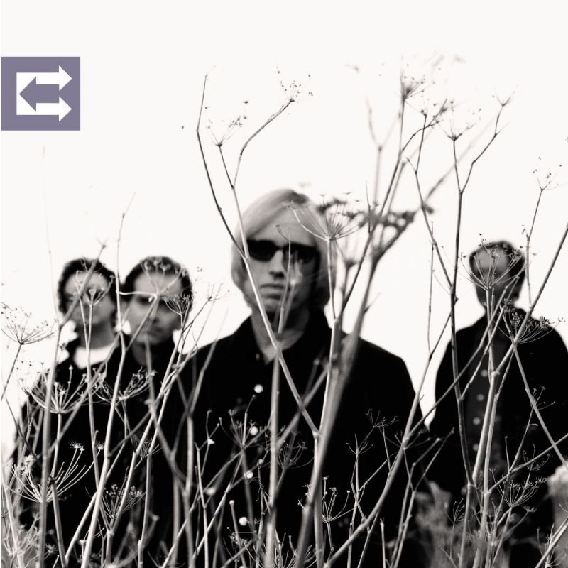 Accused Of Love, Tom Petty tom petty echo. Accused Of Love, Tom Petty