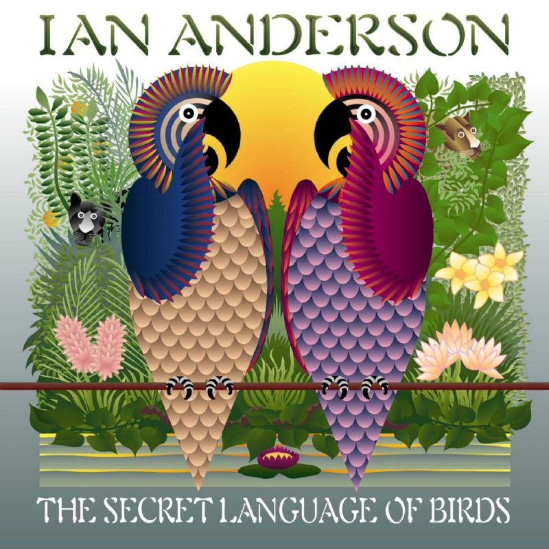 secret language of birds