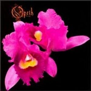 Opeth Orchid