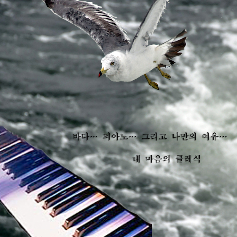 내 마음의 클래식 (바다… 피아노… 그리고 나만의 여유... com 내 마음의 클래식 (바다… 피아노… 그리고 나만의 여유... 