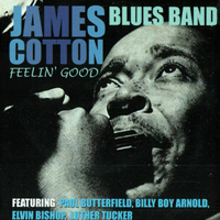 James cotton v8 ford blues #8